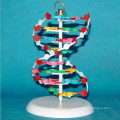 Modèle d&#39;ADN humain de recherche médicale de haute qualité (R180107)